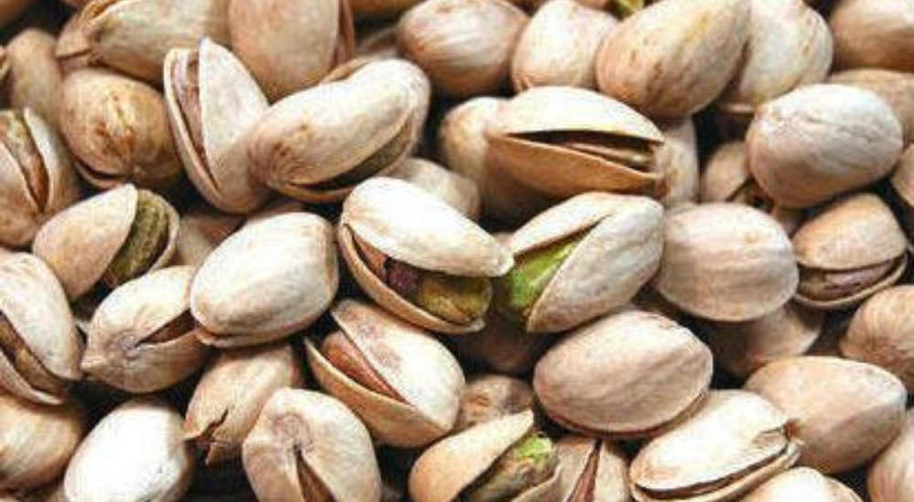 Pista